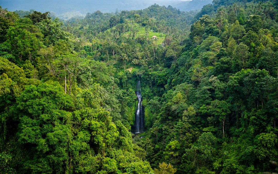 can you wear carnelian and tiger's eye together