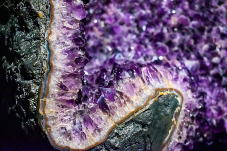 pexels photo 34703308